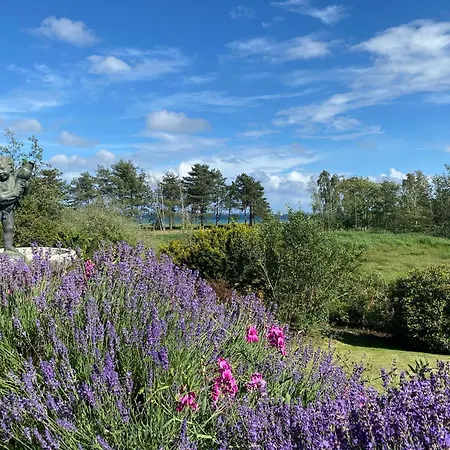 Villa Skovly - havudsigt ved Lundeborg-3
